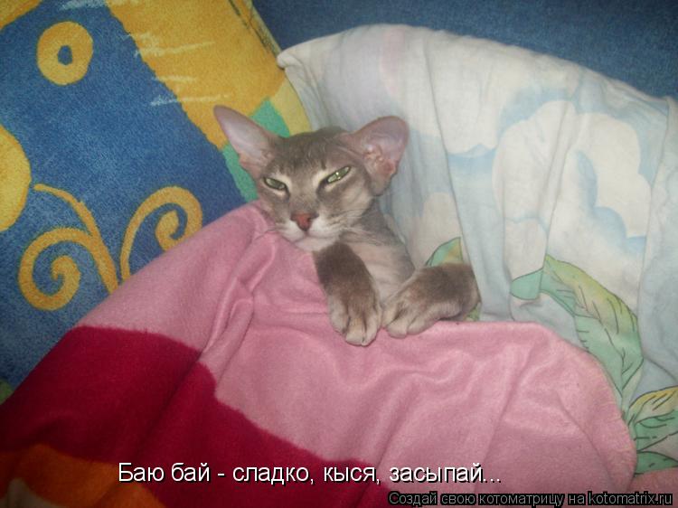 Баю бай - сладко, кыся, засыпай...... Котоматрица: Баю бай - сладко, кыся, засыпай...