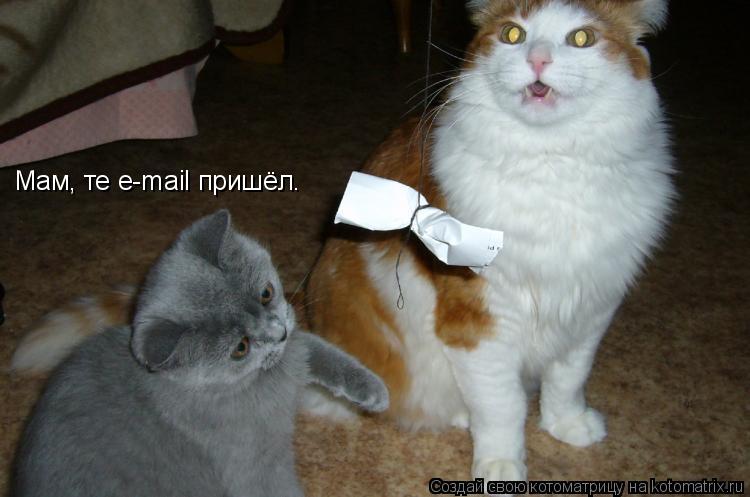 Котоматрица: Мам, те e-mail пришёл.
