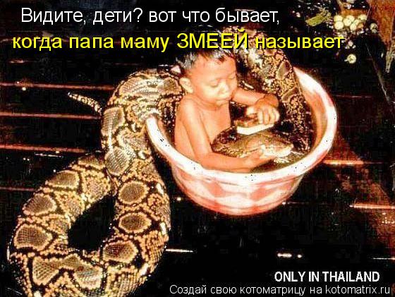 Видите, дети? вот что бывает, когда папа маму ЗМЕЕЙ называет... Котоматрица: Видите, дети? вот что бывает, когда папа маму ЗМЕЕЙ называет