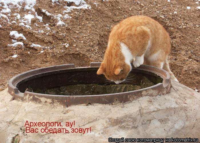 Археологи, ау! Вас обедать зовут!... Котоматрица: Археологи, ау! Вас обедать зовут!