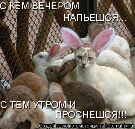 С КЕМ ВЕЧЕРОМ С ТЕМ УТРОМ И НАПЬЕШСЯ... ПРОСНЕШСЯ!!!... Котоматрица: С КЕМ ВЕЧЕРОМ С ТЕМ УТРОМ И НАПЬЕШСЯ... ПРОСНЕШСЯ!!!
