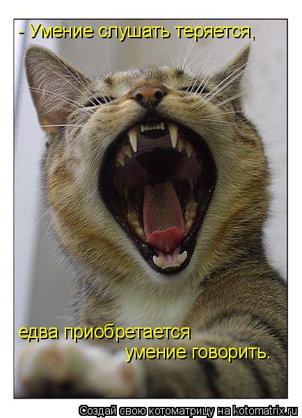 - Умение слушать теряется, едва приобретается умение говорить.... Котоматрица: - Умение слушать теряется, едва приобретается умение говорить.