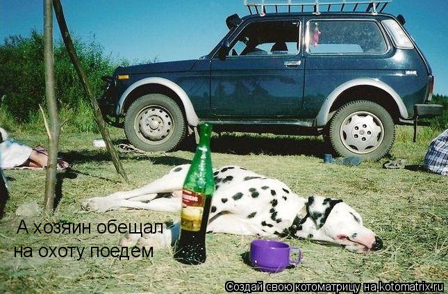 А хозяин обещал на охоту поедем... Котоматрица: А хозяин обещал на охоту поедем