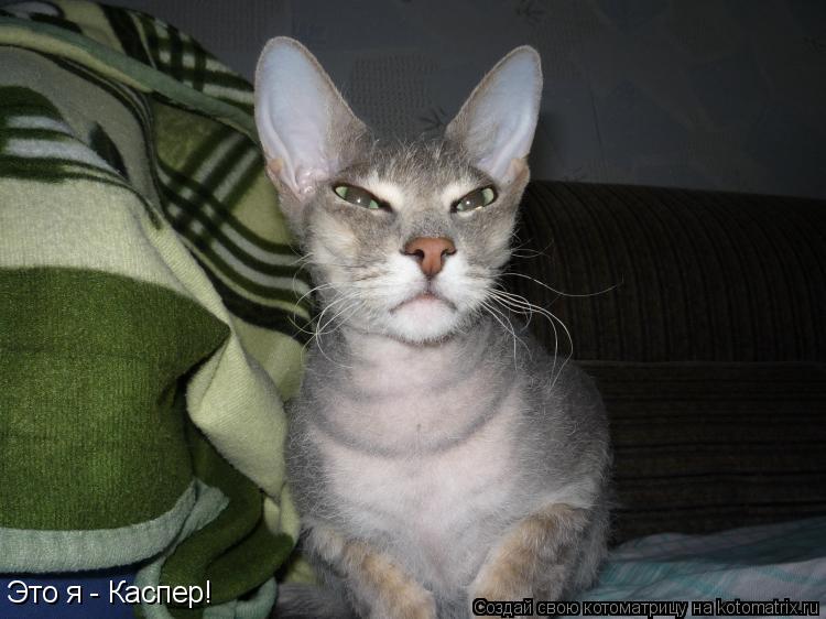 Это я - Каспер!... Котоматрица: Это я - Каспер!