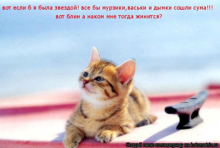 вот если б я была звездой! все бы мурзики,васьки и дымки сошли сума!!! вот блин а наком мне тогда жин... Котоматрица: вот если б я была звездой! все бы мурзики,васьки и дымки сошли сума!!! вот блин а наком мне тогда жинится?