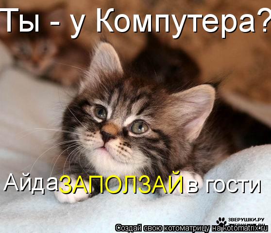 Ты - у Компутера? Айда ЗАПОЛЗАЙ в гости... Котоматрица: Ты - у Компутера? Айда ЗАПОЛЗАЙ в гости