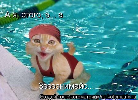 А я, этого, э... а Зээээнимайс....... Котоматрица: А я, этого, э... а Зээээнимайс....