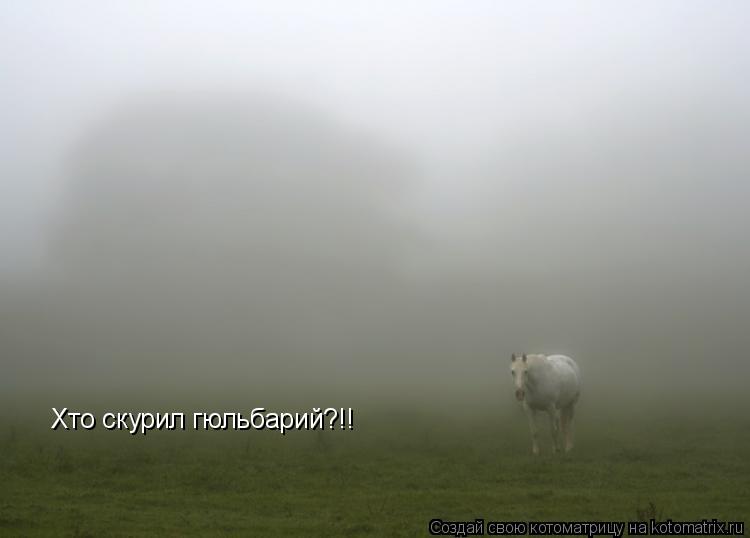Хто скурил гюльбарий?!!... Котоматрица: Хто скурил гюльбарий?!!