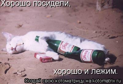 Хорошо посидели, хорошо и лежим.... Котоматрица: Хорошо посидели, хорошо и лежим.