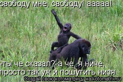 свободу мне, свободу! ааааа! -ты че сказал?-а че, я ниче, просто так.уж и пошутить низя... Котоматрица: свободу мне, свободу! ааааа! -ты че сказал?-а че, я ниче, просто так.уж и пошутить низя