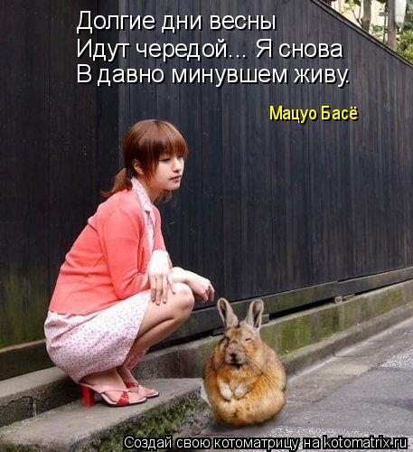 Идут чередой... Я снова В давно минувшем живу. Долгие дни весны Мацуо Басё... Котоматрица: Идут чередой... Я снова В давно минувшем живу. Долгие дни весны Мацуо Басё