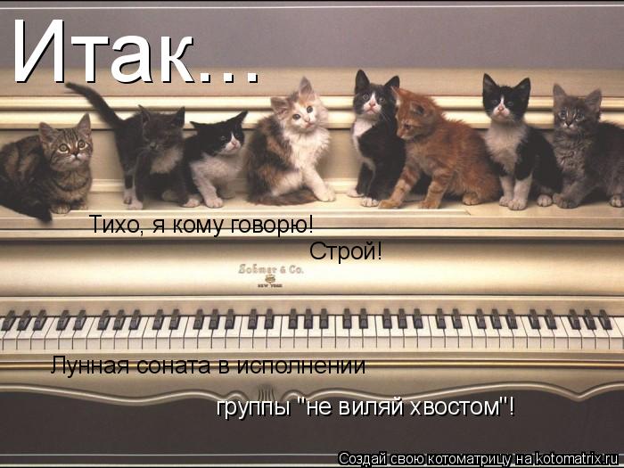 Итак... Тихо, я кому говорю! Строй! Лунная соната в исполнении группы "не виляй хвостом"!... Котоматрица: Итак... Тихо, я кому говорю! Строй! Лунная соната в исполнении группы "не виляй хвостом"!