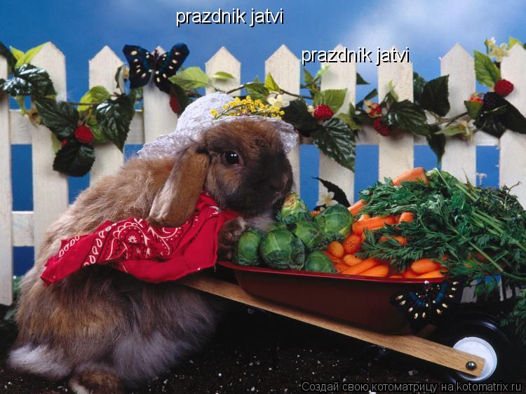 prazdnik jatvi prazdnik jatvi... Котоматрица: prazdnik jatvi prazdnik jatvi