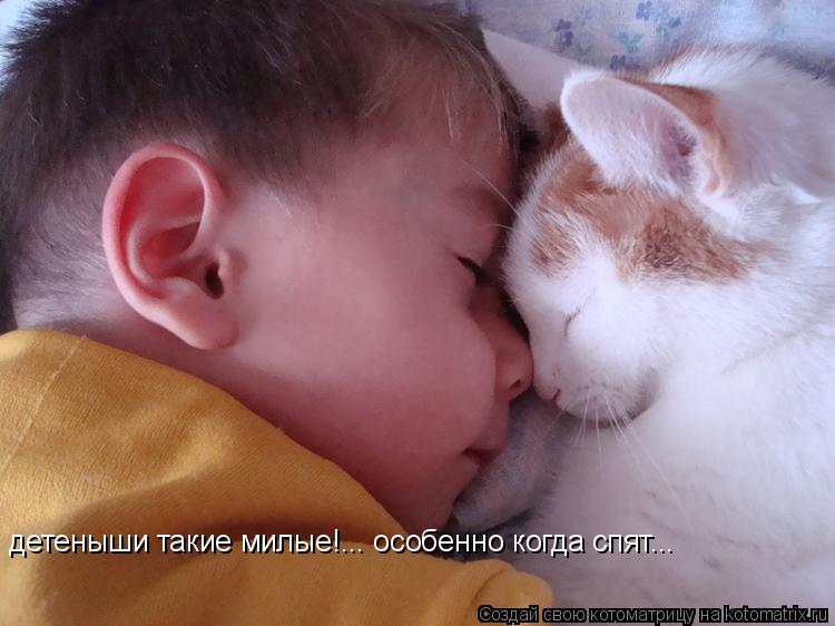 детеныши такие милые!... особенно когда спят...... Котоматрица: детеныши такие милые!... особенно когда спят...