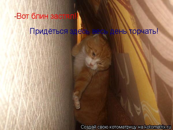 -Вот блин застял!! Придёться здесь весь день торчать!... Котоматрица: -Вот блин застял!! Придёться здесь весь день торчать!