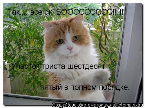 Так.... все ок, БООССССССС!!!!!! Участок триста шестдесят пятый в полном порядке.... Котоматрица: Так.... все ок, БООССССССС!!!!!! Участок триста шестдесят пятый в полном порядке.