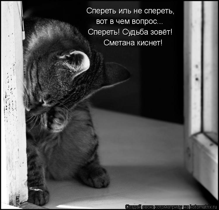 Спереть иль не спереть, вот в чем вопрос... Спереть! Судьба зовёт! Сметана киснет!... Котоматрица: Спереть иль не спереть, вот в чем вопрос... Спереть! Судьба зовёт! Сметана киснет!