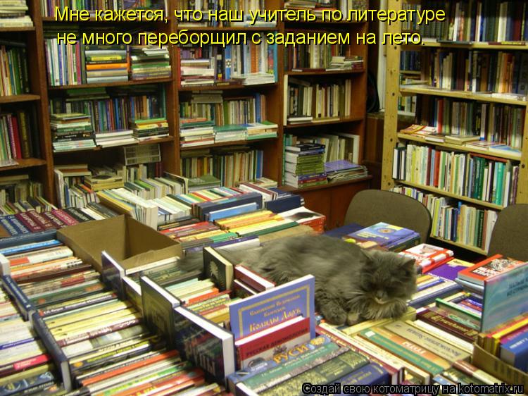Котоматрица: Мне кажется, что наш учитель по литературе  не много переборщил с заданием на лето.