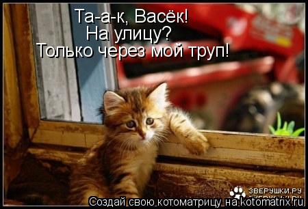 Котоматрица: Та-а-к, Васёк! На улицу? Только через мой труп!