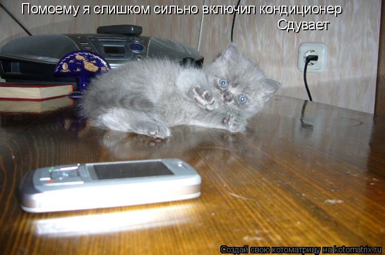 Котоматрица: Помоему я слишком сильно включил кондиционер Сдувает