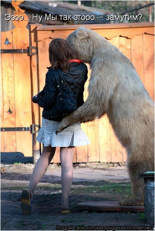 Ээээ... Ну Мы так этооо.... замутим?... Котоматрица: Ээээ... Ну Мы так этооо.... замутим?