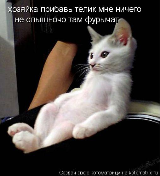хозяйка прибавь телик мне ничего не слышночо там фурычат... Котоматрица: хозяйка прибавь телик мне ничего не слышночо там фурычат