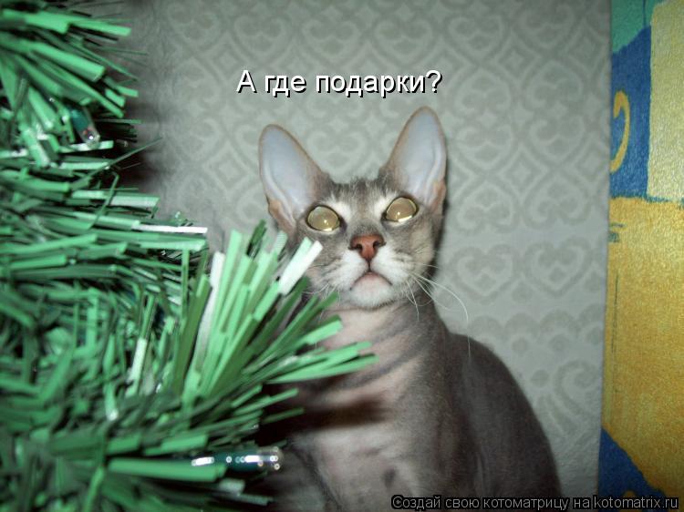 Котоматрица: А где подарки?