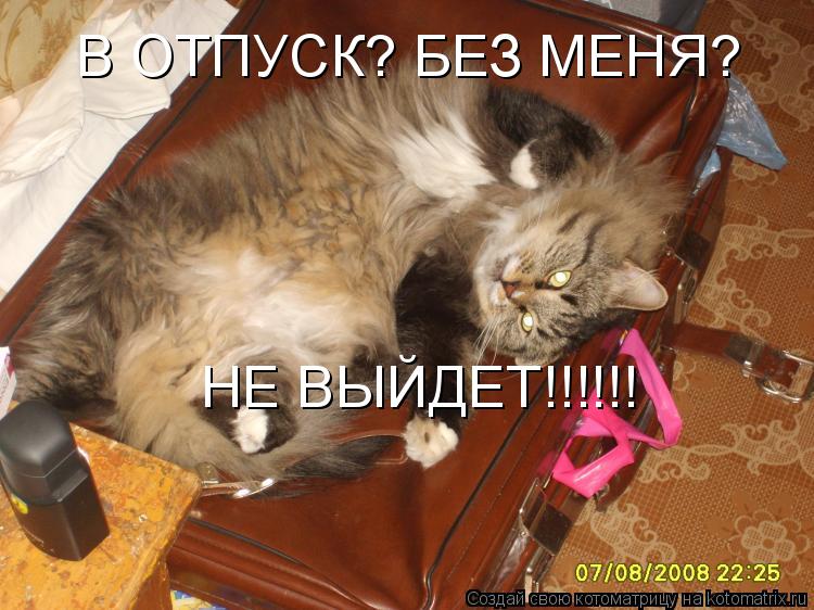 В ОТПУСК? БЕЗ МЕНЯ? НЕ ВЫЙДЕТ!!!!!!... Котоматрица: В ОТПУСК? БЕЗ МЕНЯ? НЕ ВЫЙДЕТ!!!!!!