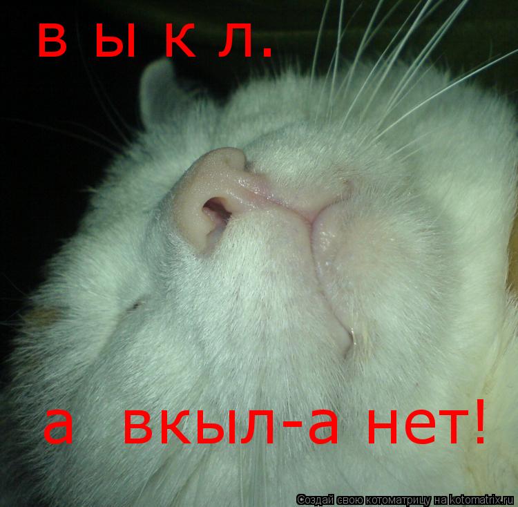 в ы к л. а вкыл-а нет!... Котоматрица: в ы к л. а вкыл-а нет!