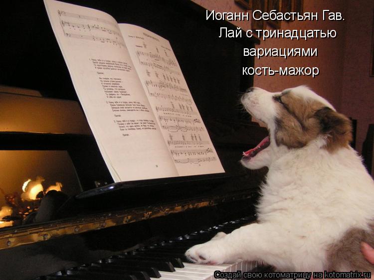 Иоганн Себастьян Гав. Лай с тринадцатью вариациями кость-мажор... Котоматрица: Иоганн Себастьян Гав. Лай с тринадцатью вариациями кость-мажор