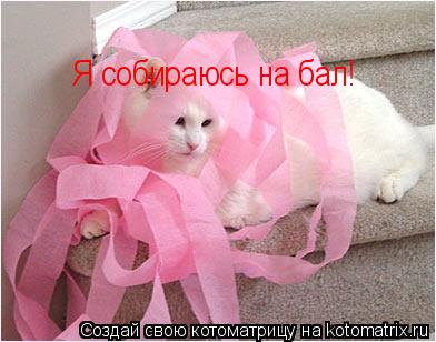 Я собираюсь на бал!... Котоматрица: Я собираюсь на бал!