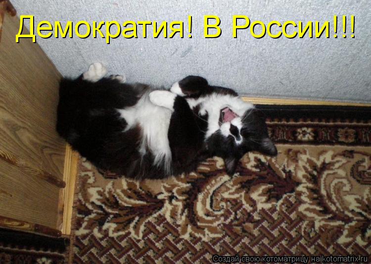 Демократия! В России!!!... Котоматрица: Демократия! В России!!!