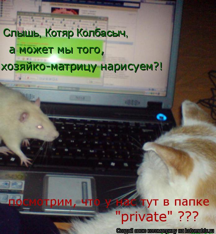 Котоматрица: Слышь, Котяр Колбасыч,  а может мы того, хозяйко-матрицу нарисуем?! посмотрим, что у нас тут в папке "private" ???