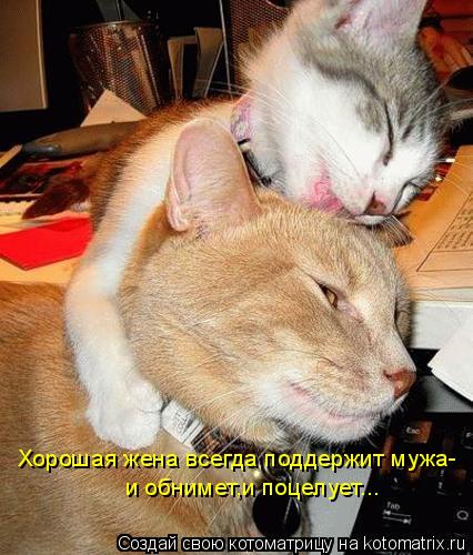 Хорошая жена всегда поддержит мужа- и обнимет,и поцелует...... Котоматрица: Хорошая жена всегда поддержит мужа- и обнимет,и поцелует...