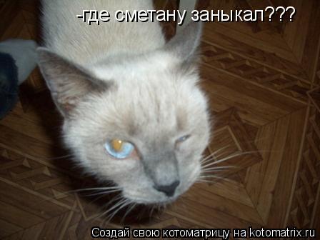-где сметану заныкал???... Котоматрица: -где сметану заныкал???