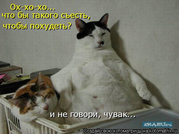 Котоматрица: Ох-хо-хо...  что бы такого съесть, чтобы похудеть? и не говори, чувак...