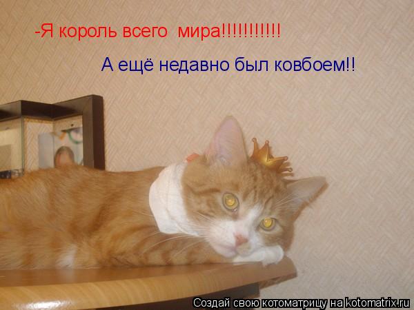 -Я король всего мира!!!!!!!!!!! А ещё недавно был ковбоем!!... Котоматрица: -Я король всего мира!!!!!!!!!!! А ещё недавно был ковбоем!!