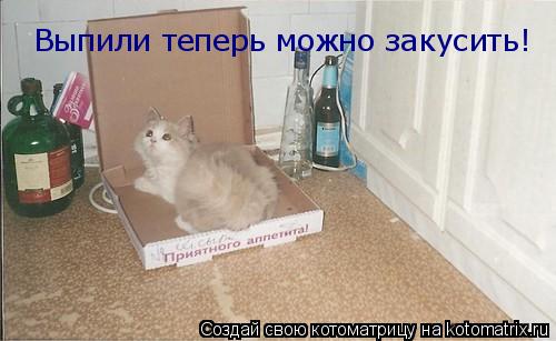 Котоматрица: Выпили теперь можно закусить!