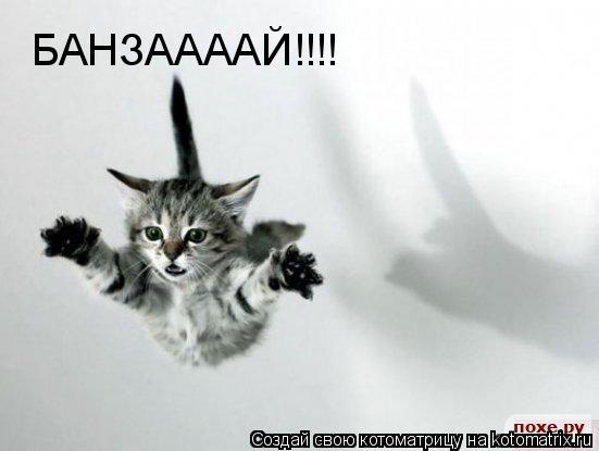 БАНЗААААЙ!!!!... Котоматрица: БАНЗААААЙ!!!!