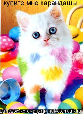 Котоматрица: купите мне карандашы