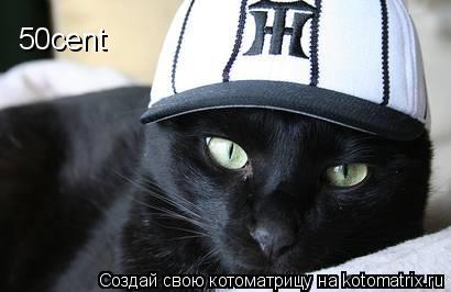 50cent... Котоматрица: 50cent
