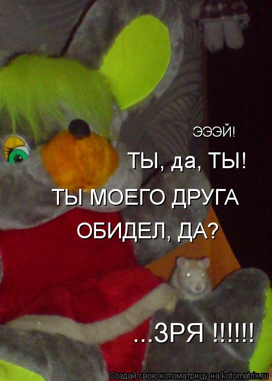 Котоматрица: ЭЭЭЙ!  ТЫ МОЕГО ДРУГА  ОБИДЕЛ, ДА? ТЫ, да, ТЫ! ...ЗРЯ !!!!!!