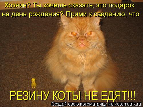 Хозяин? Ты хочешь сказать, это подарок на день рождения? Прими к сведению, что РЕЗИНУ КОТЫ НЕ ЕДЯТ!!!... Котоматрица: Хозяин? Ты хочешь сказать, это подарок на день рождения? Прими к сведению, что РЕЗИНУ КОТЫ НЕ ЕДЯТ!!!