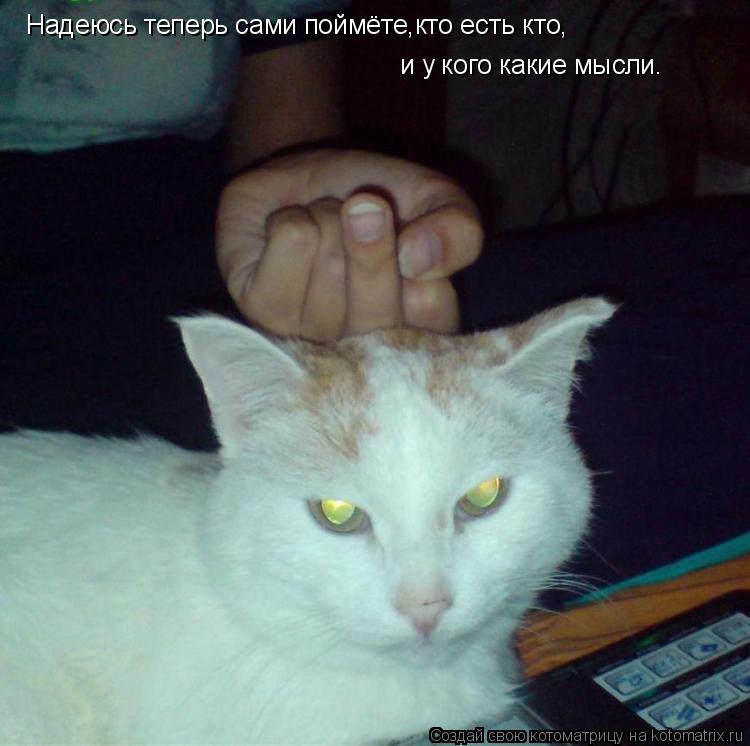 Котоматрица: Надеюсь теперь сами поймёте,кто есть кто, и у кого какие мысли.