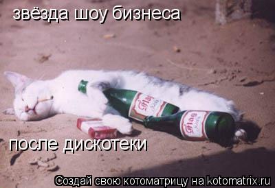 после дискотеки звёзда шоу бизнеса... Котоматрица: после дискотеки звёзда шоу бизнеса