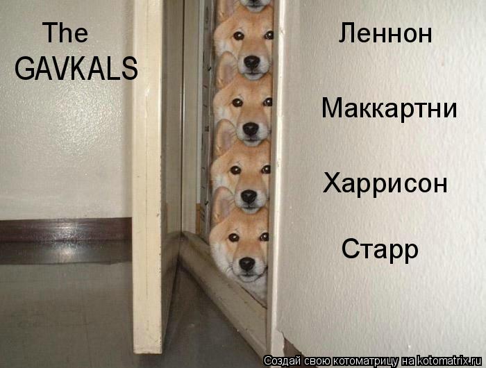 Харрисон Старр The Леннон Маккартни GAVKALS... Котоматрица: Харрисон Старр The Леннон Маккартни GAVKALS