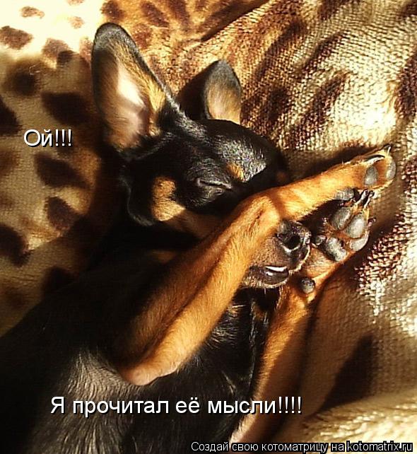 Ой!!! Я прочитал её мысли!!!!... Котоматрица: Ой!!! Я прочитал её мысли!!!!