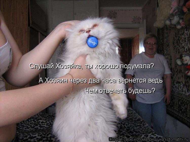 Слушай Хозяйка, ты хорошо подумала? А Хозяин через два часа вернётся ведь Чем отвечать будешь?... Котоматрица: Слушай Хозяйка, ты хорошо подумала? А Хозяин через два часа вернётся ведь Чем отвечать будешь?