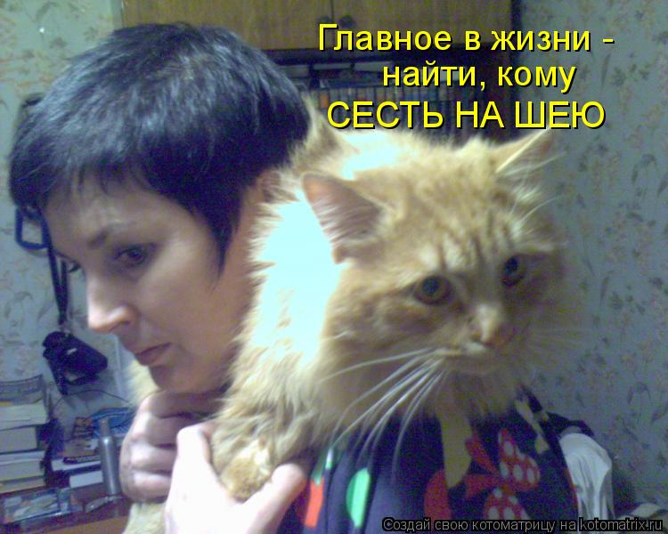 Главное в жизни - найти, кому СЕСТЬ НА ШЕЮ... Котоматрица: Главное в жизни - найти, кому СЕСТЬ НА ШЕЮ