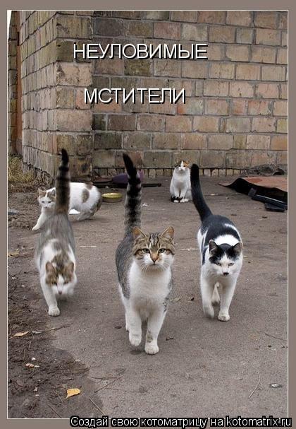 НЕУЛОВИМЫЕ МСТИТЕЛИ... Котоматрица: НЕУЛОВИМЫЕ МСТИТЕЛИ